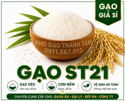 Gạo St21