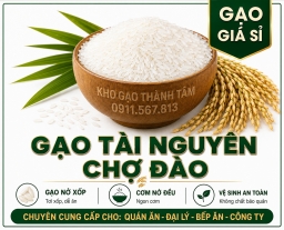 Gạo Tài Nguyên Chợ Đào 