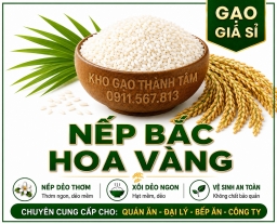 Nếp Bắc Hoa Vàng 