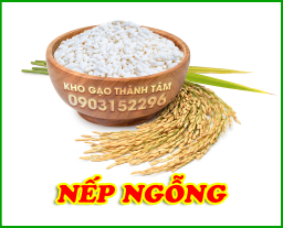 Nếp Ngỗng 