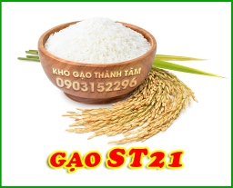 Gạo St21