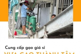Cung cấp gạo gia sỉ cho bếp ăn, trường học, bệnh viện, quán cơm....