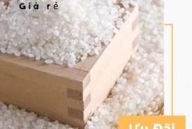 Gạo tấm giá rẻ