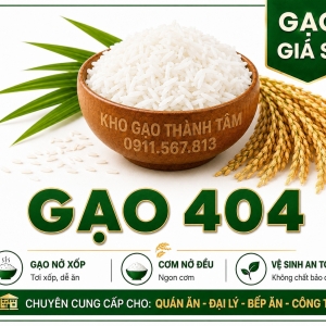 Gạo 404 
