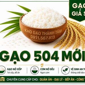 Gạo 504 mới 