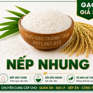 Nếp Nhung 
