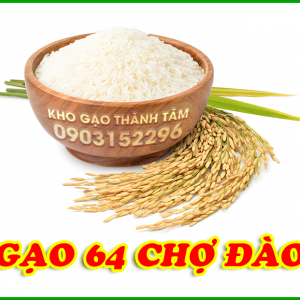 Gạo 64 Chợ Đào
