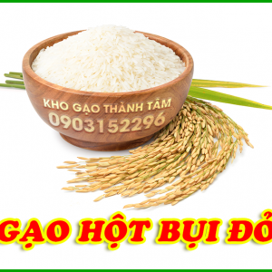 Gạo hột Bụi Đỏ 