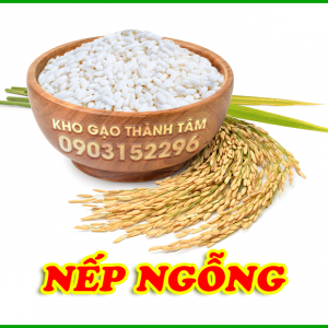 Nếp Ngỗng 