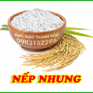 Nếp Nhung 
